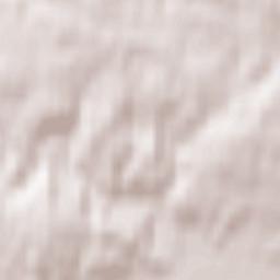 Stare Kurowo Terrain Map