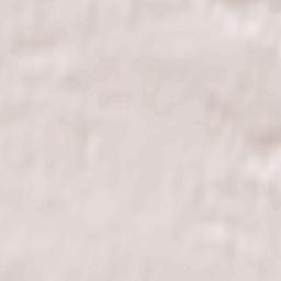 Aleksandrów Kujawski Terrain Map