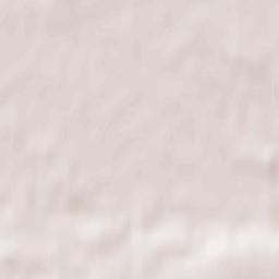 Ciechocinek Terrain Map