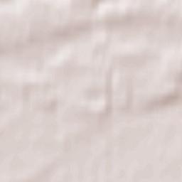 Zwierzyń Terrain Map