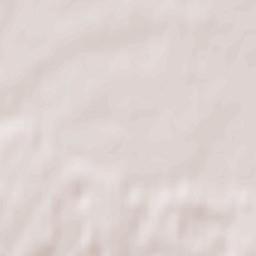 Chyrvonaya Slabada Terrain Map