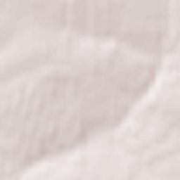 Krasninskiy Rayon Terrain Map