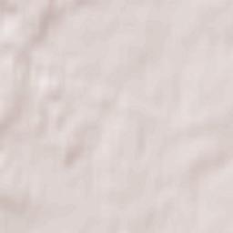 Mieszkowice Terrain Map