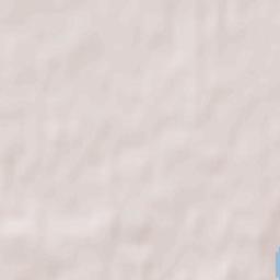 Salihorsk Terrain Map