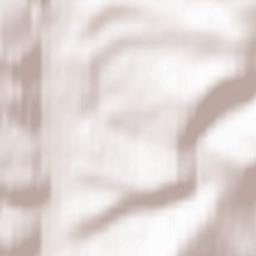 Tashtagol’skiy Rayon Terrain Map