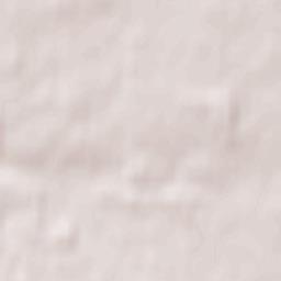 Janowiec Wielkopolski Terrain Map