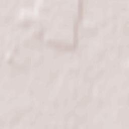 Janikowo Terrain Map