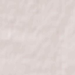 Bielsk Podlaski Terrain Map