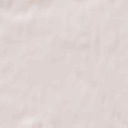 Mieścisko Terrain Map