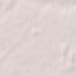 Tłuchowo Terrain Map