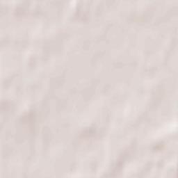 Gąsocin Terrain Map