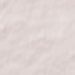 Powiat bielski Terrain Map