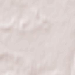 Fabianki Terrain Map