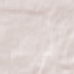 Białowieża Terrain Map