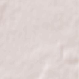 Buda-Kashalyova Terrain Map