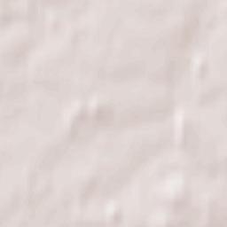 Spixworth Terrain Map