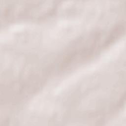 Barlestone Terrain Map