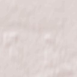 Mieleszyn Terrain Map