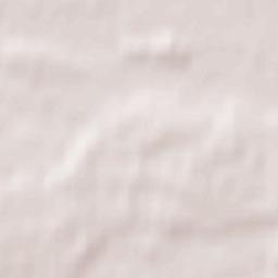 Vyetkawski Rayon Terrain Map