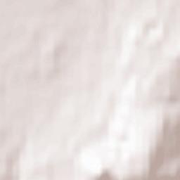 Minsterley Terrain Map