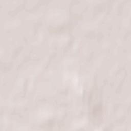 Powiat radziejowski Terrain Map