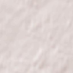 Svyetlahorsk Terrain Map