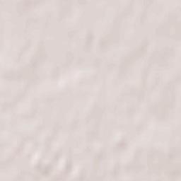 Neu-Hohenschönhausen Terrain Map