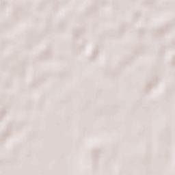 Słońsk Terrain Map