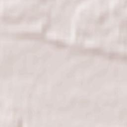 Powiat szamotulski Terrain Map