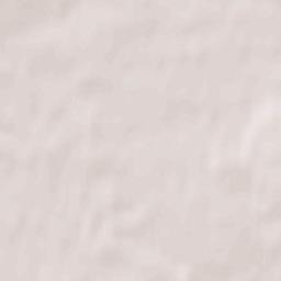 Nasielsk Terrain Map