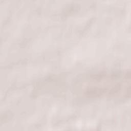 Novozybkovskiy Rayon Terrain Map