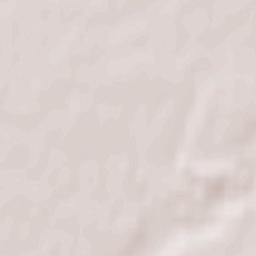 Lubraniec Terrain Map