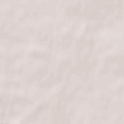 Pruzhany Terrain Map