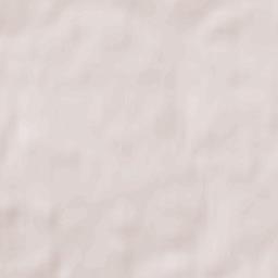 Novozybkov Terrain Map