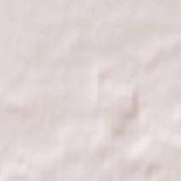 Naruszewo Terrain Map