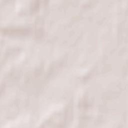 Sasnovy Bor Terrain Map