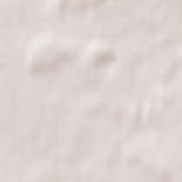 Złotniki Terrain Map