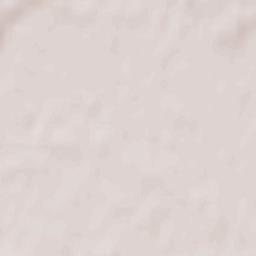 Baruchowo Terrain Map