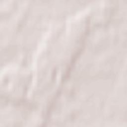 Starodubskiy Rayon Terrain Map