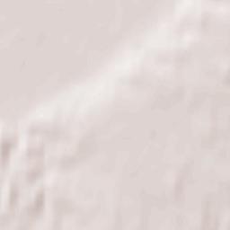 Podelzig Terrain Map