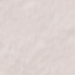 Tarnowo Podgórne Terrain Map