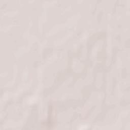 Niechanowo Terrain Map