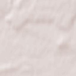 Powiat nowodworski Terrain Map