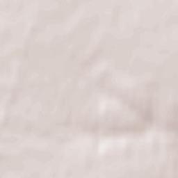 Borinskoye Terrain Map