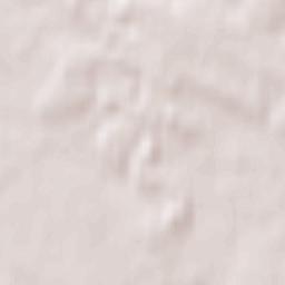 Gostynin Terrain Map