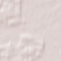 Czerniejewo Terrain Map