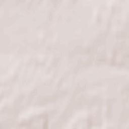 Komarichi Terrain Map