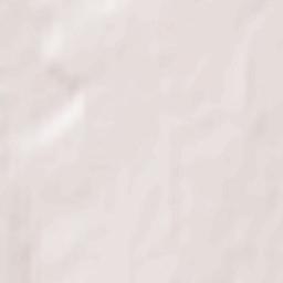 Aleyskiy Rayon Terrain Map