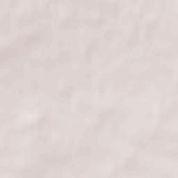 Kamyanyets Terrain Map