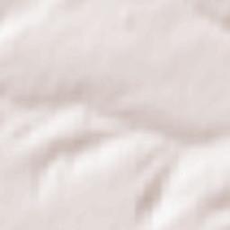 Ust’-Charyshskaya Pristan’ Terrain Map